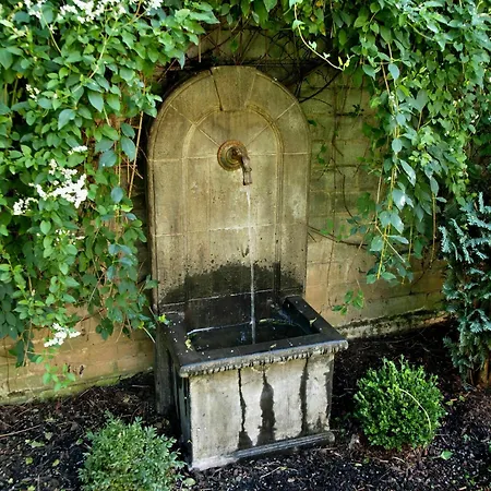 Boutiquehotel Dreesen - Villa Godesberg 4*