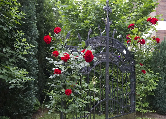 Boutiquehotel Dreesen - Godesberg فندق 4*