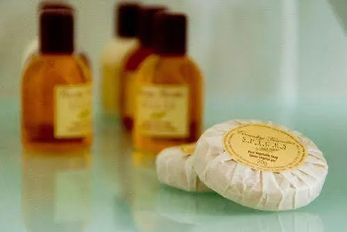 فندق Boutiquehotel Dreesen - Godesberg بون