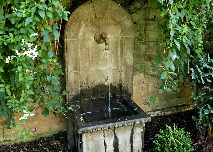 Boutiquehotel Dreesen - Godesberg 4*